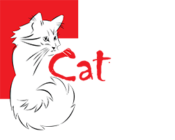 ArteKatz Cat Cafe